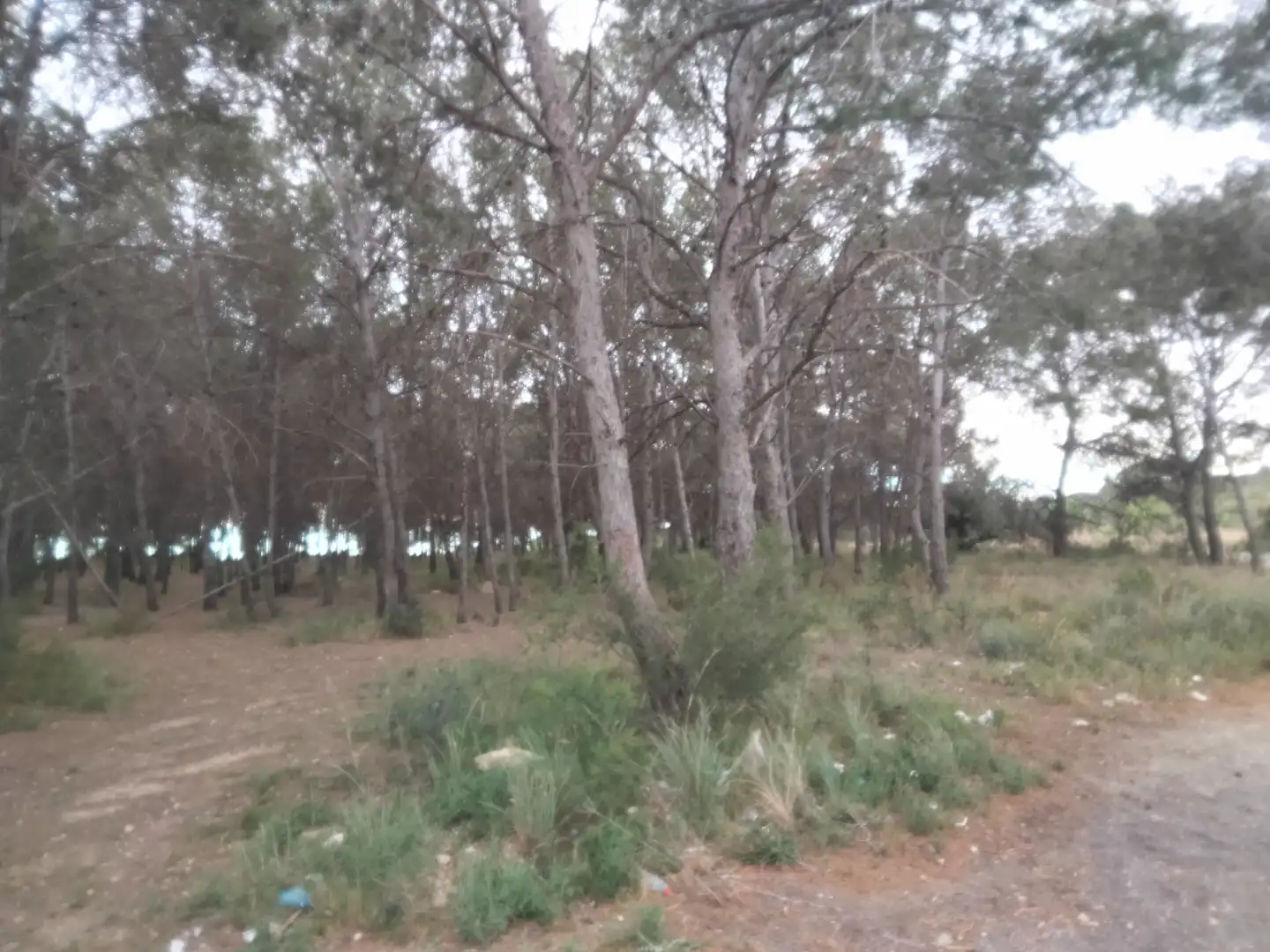Terreno residenziale in vendita a Camí de Paterna - Lloma del Calderer