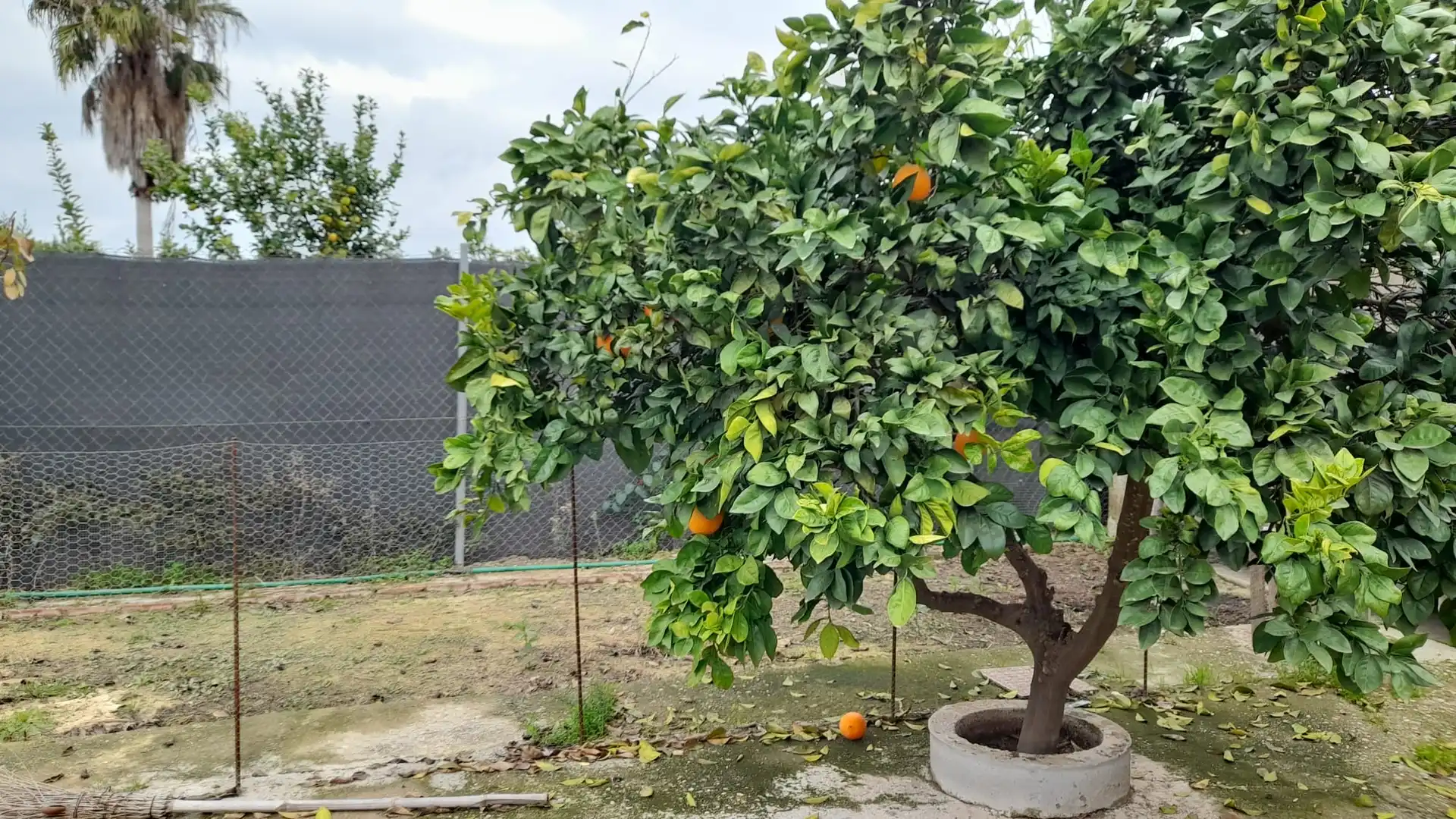 Garden of Houses for sale in Córdoba  with Air Conditioner, Heating and Private garden