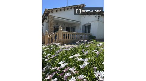Photo 2 of Room in El Carme - Sant Agustí - Bonavista, L'Eliana