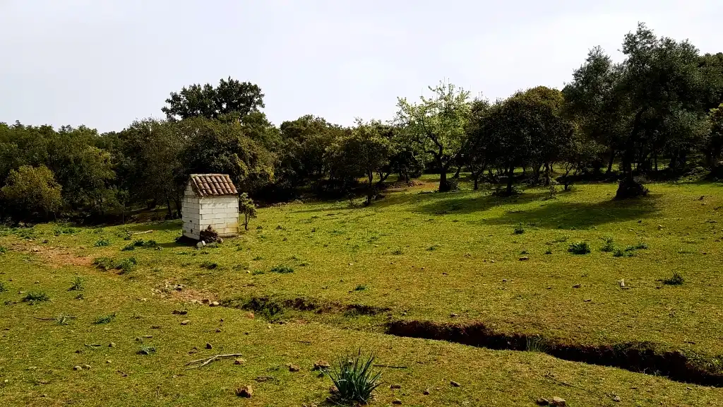 Terrenos y solares en venta en Extramuros Diseminados 5, imagen 43