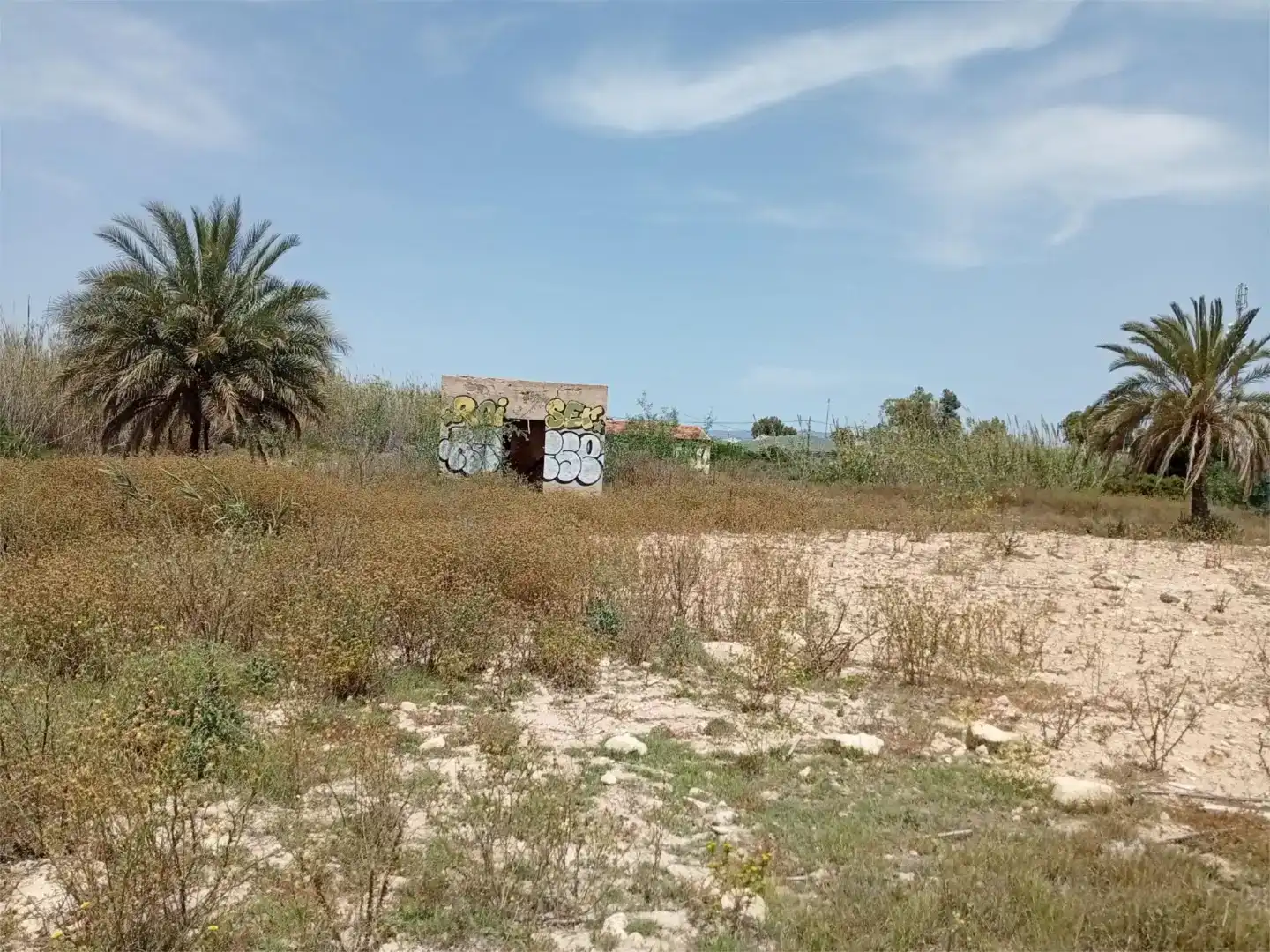 Grundstücke zum Verkauf in Elche / Elx