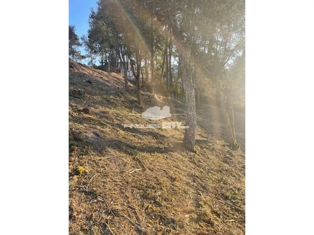 Terreno residencial en venta en Lloret Blau - La Creu de Lloret, imagen 7