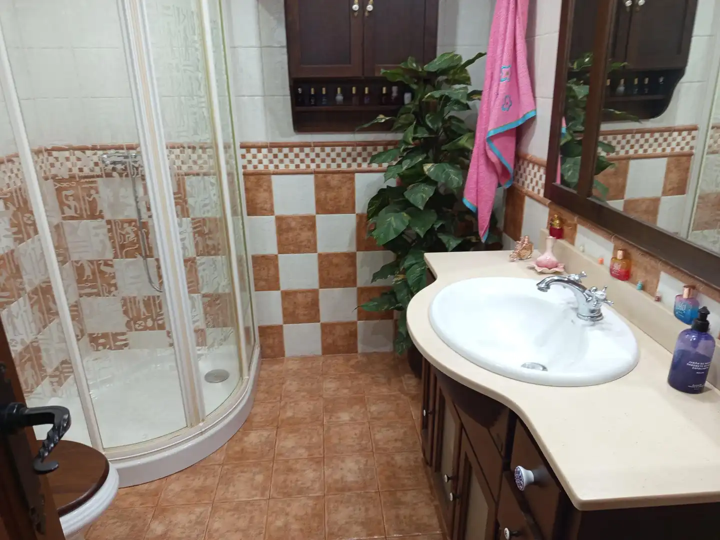 Casa amb terrassa en venda a Peñamefecit - Avda Barcelona, imagen 5