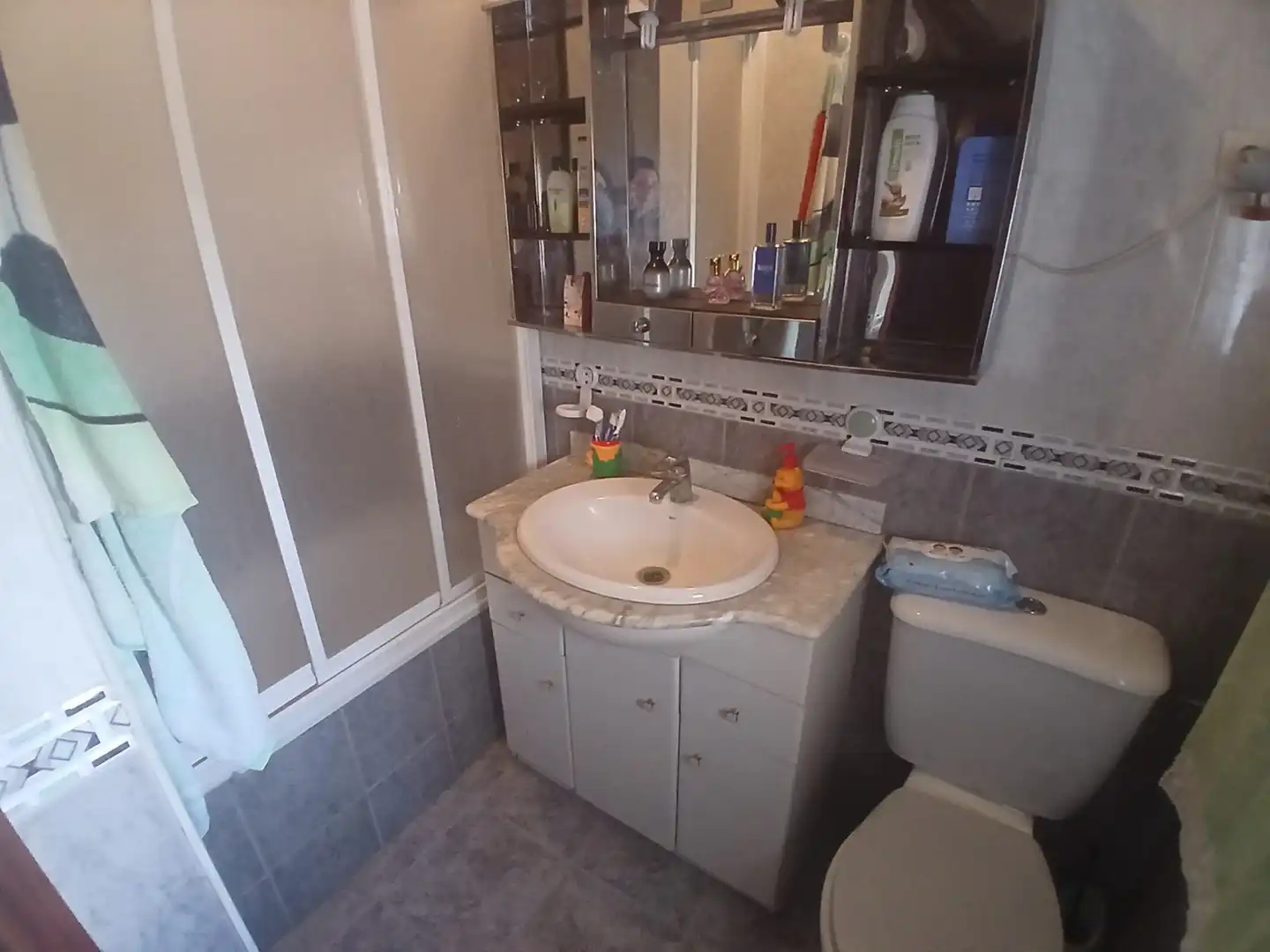 Bany de Casa o xalet en venda en Jaén amb Aire condicionat, Traster i Piscina