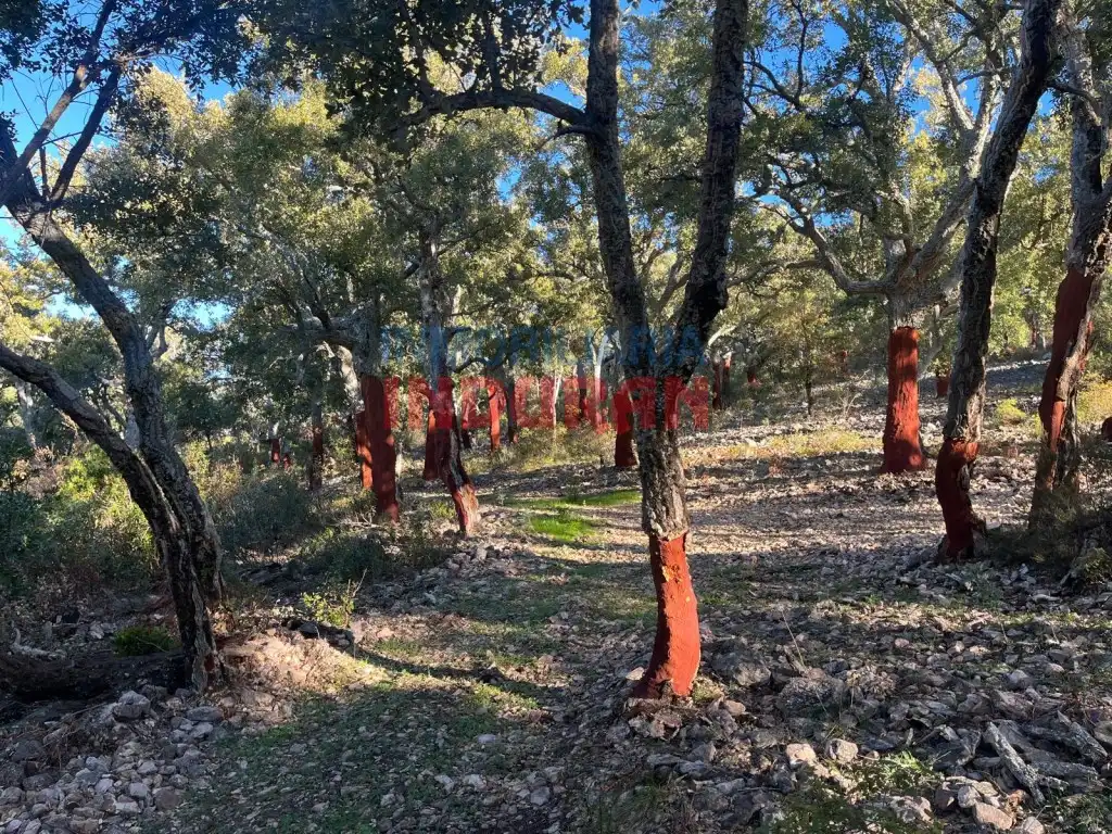 Country house for sale in Plaza De España, imagen 7