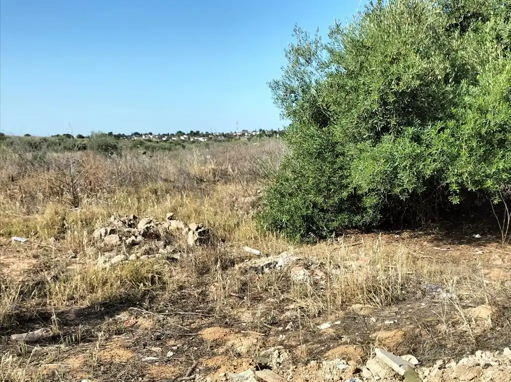 Terreni e lotti in vendita a Carretera de Palomares, imagen 12