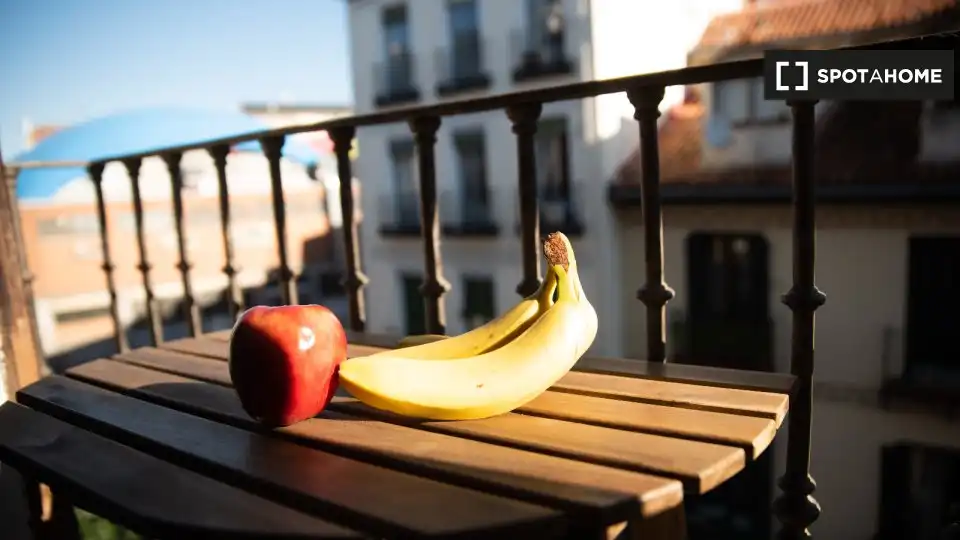 Terraza de Piso de alquiler en Madrid con Aire acondicionado, Calefacción y Amueblado