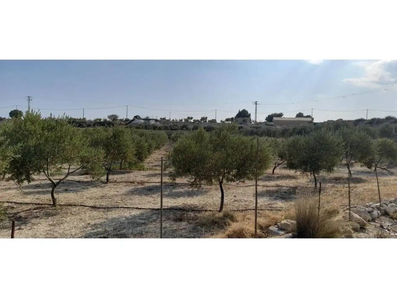 Rural land for sale in Calle MAYOR, imagen 22