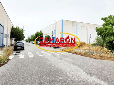 Terreni e lotti in vendita a Palomares del Río