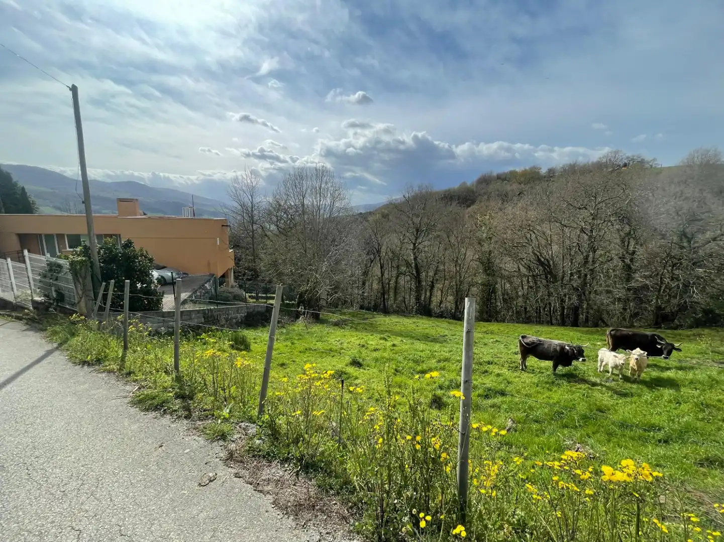 Terreni e lotti in vendita a Corvera de Toranzo, imagen 7