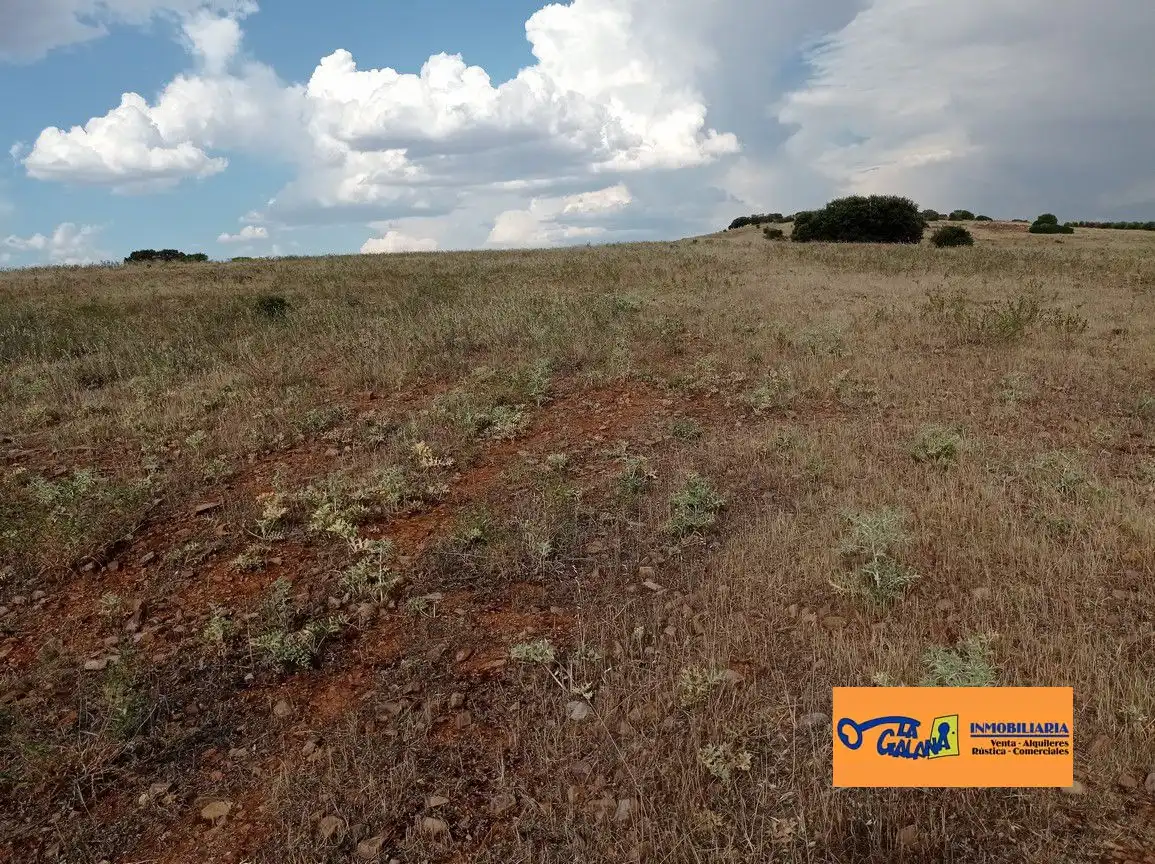 Finca rústica en venda en Cózar