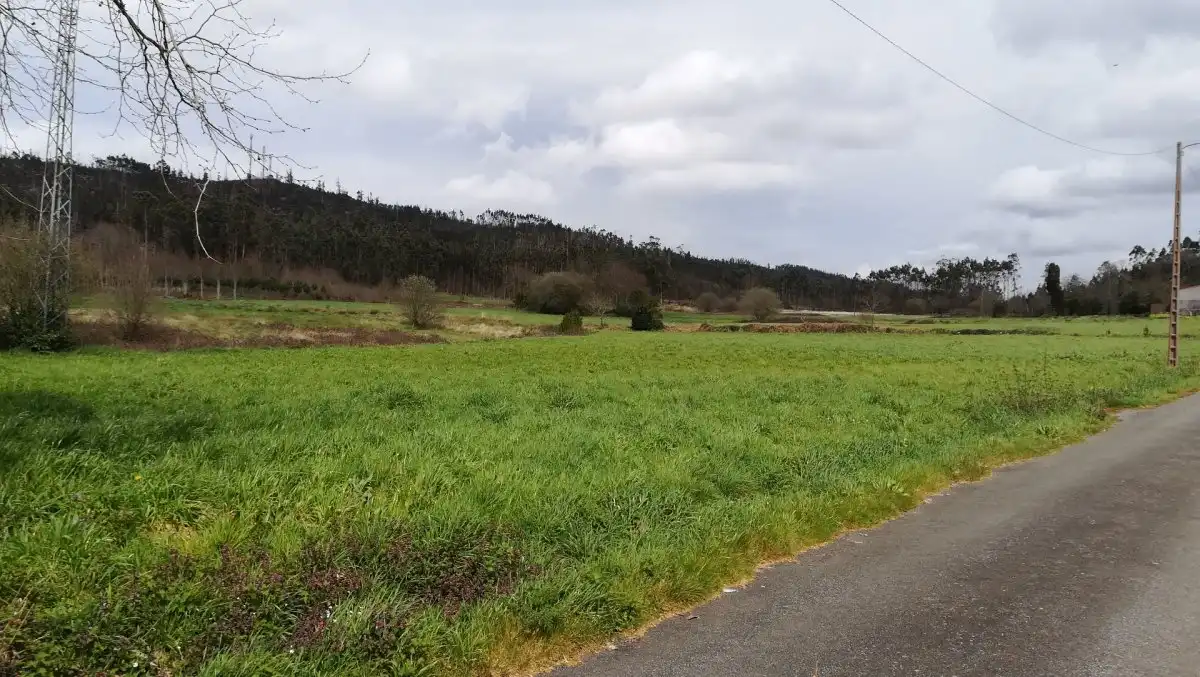 Terreni e lotti in vendita a Área de Ames, imagen 3