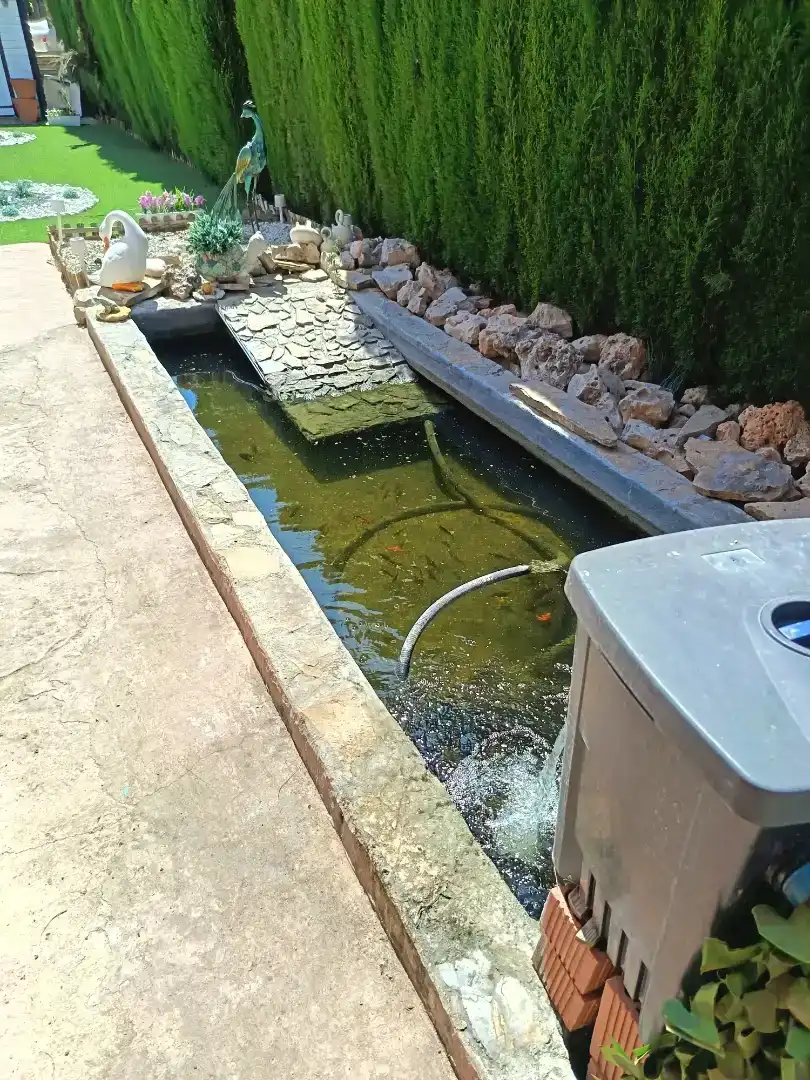 Piscina de Casa o xalet en venda en Moncada