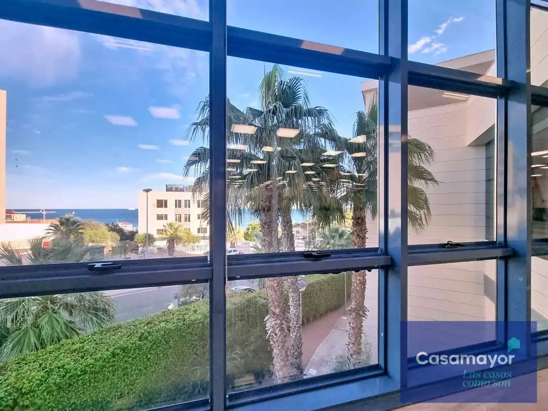 Oficina de lloguer a Avinguda de Jean Claude Combaldieu, Palmeral
