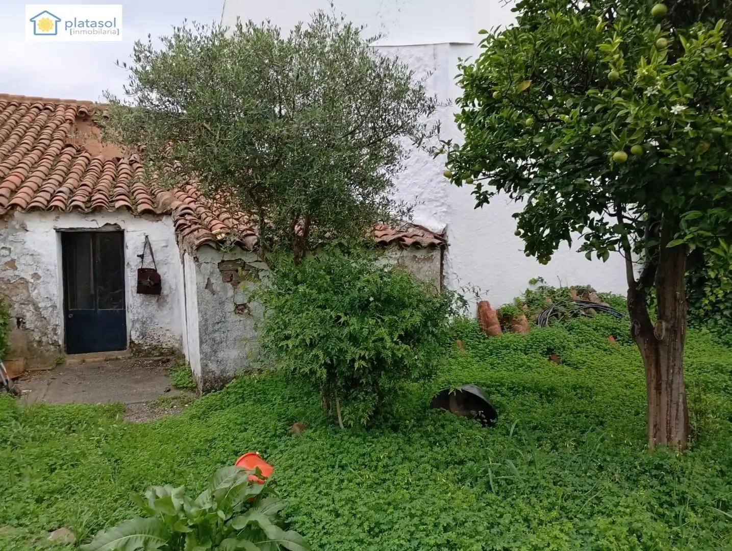 Casa o xalet en venda a Plaza FERNANDO ALONSO LOPEZ, El Madroño