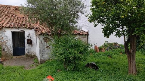 Foto 3 de Casa o xalet en venda a Plaza Fernando Alonso Lopez, El Madroño, Sevilla