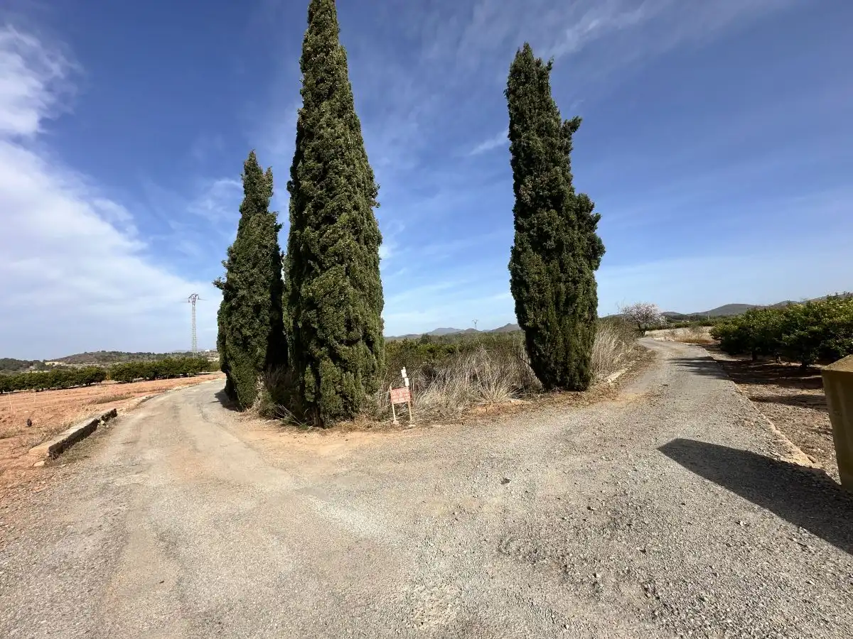 Terreno residencial en venta en Algímia de Alfara, imagen 12