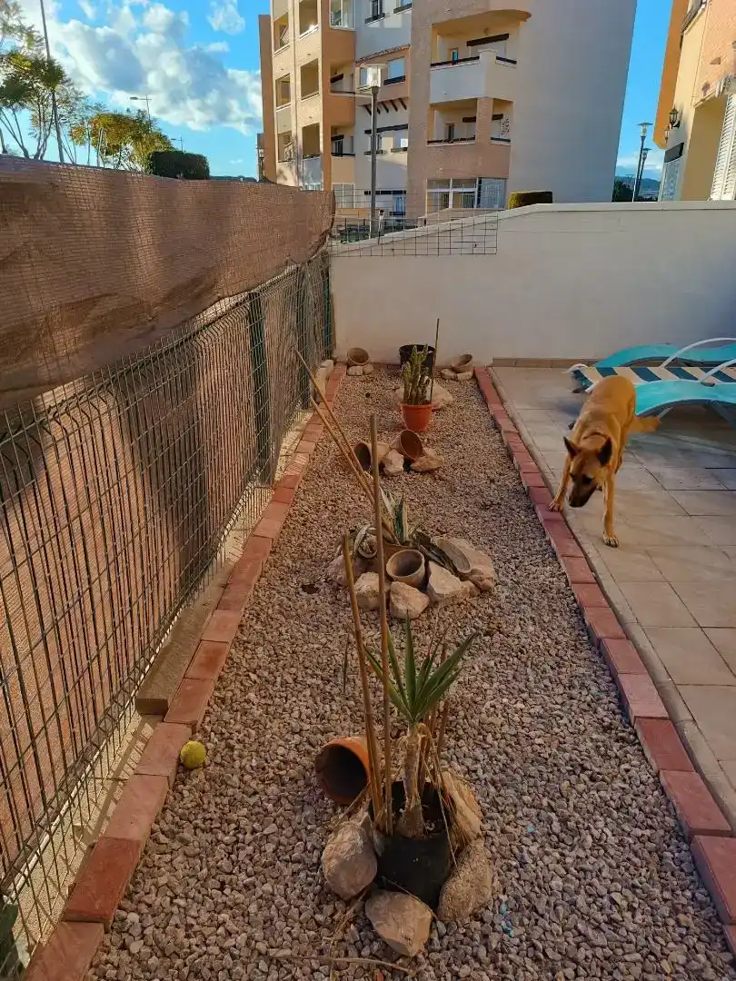 Jardí de Planta baixa en venda en  Murcia Capital amb Aire condicionat i Piscina
