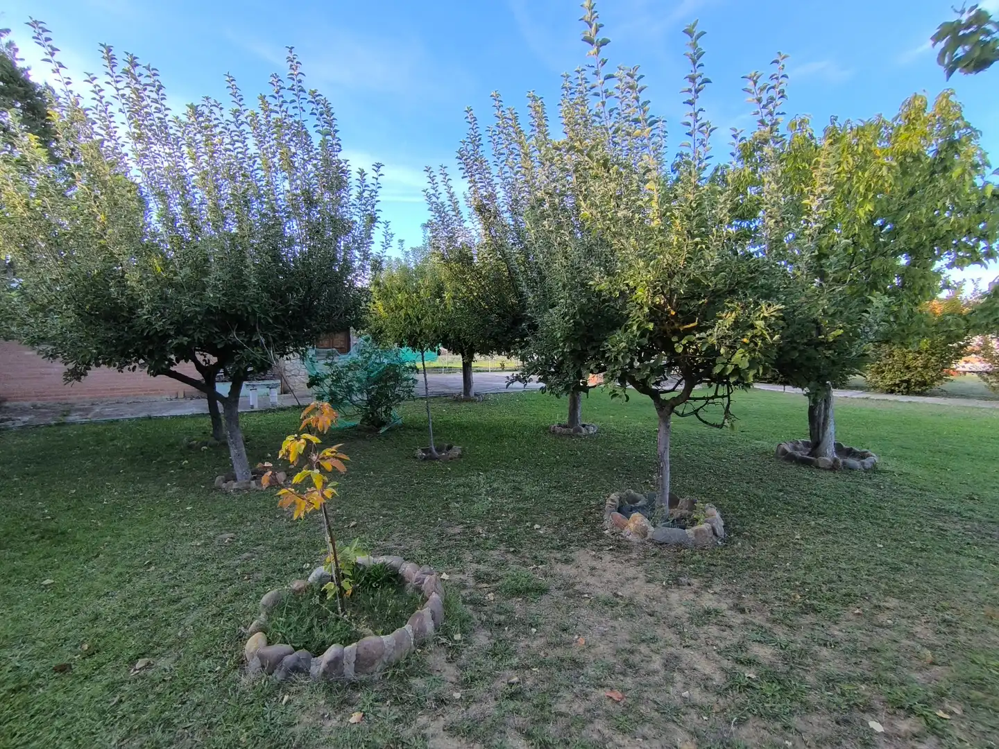 Country house with garden for sale in Urbanización Bota 2 8, imagen 49