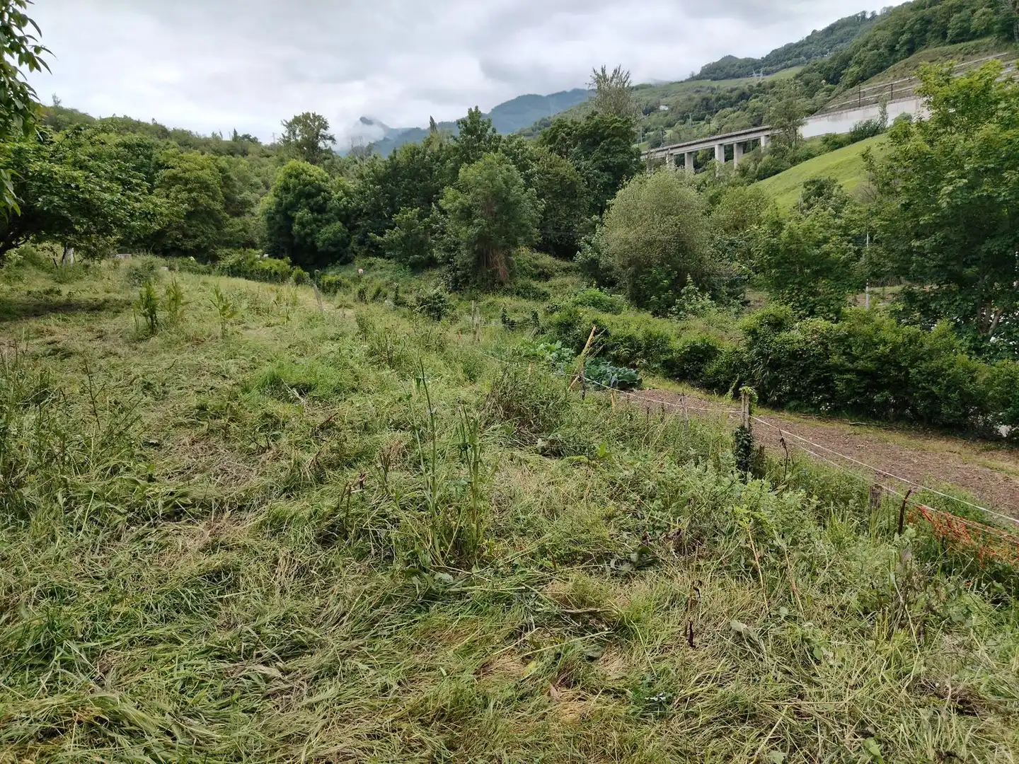 Residential for sale in Lena