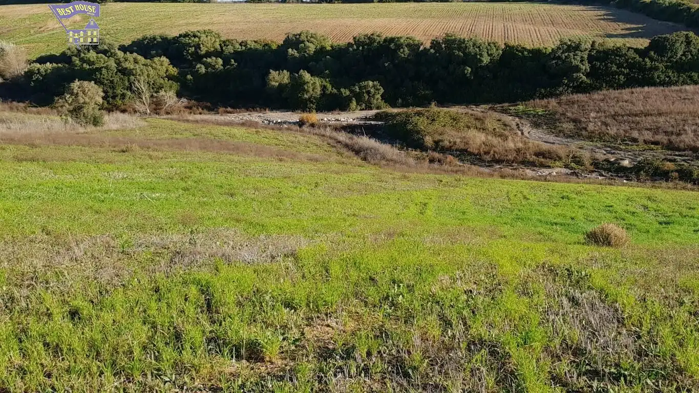 Terreny rústic en venda a Arcos de la Frontera, imagen 5