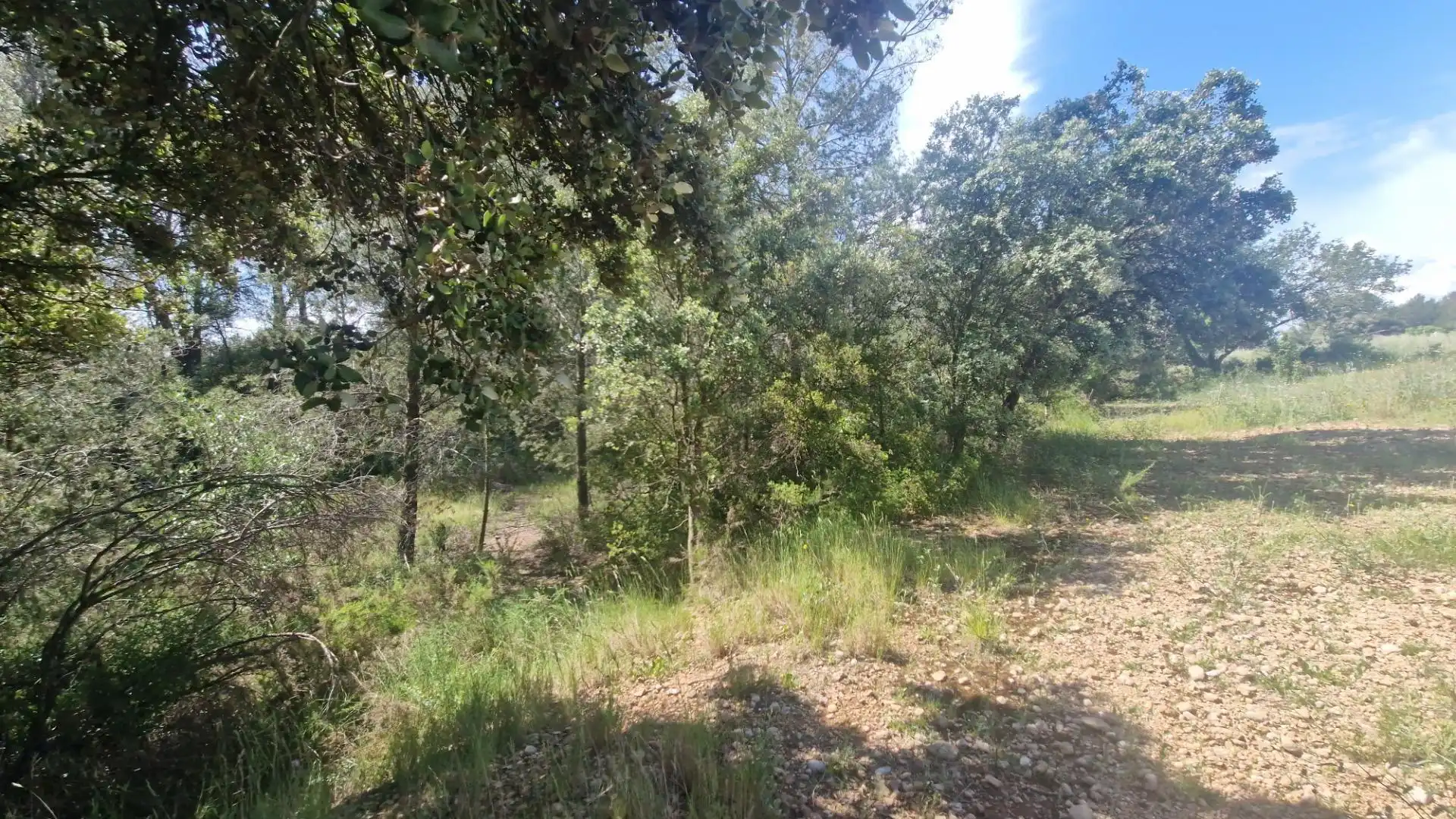 Terreno rustico in vendita a Valls, imagen 28