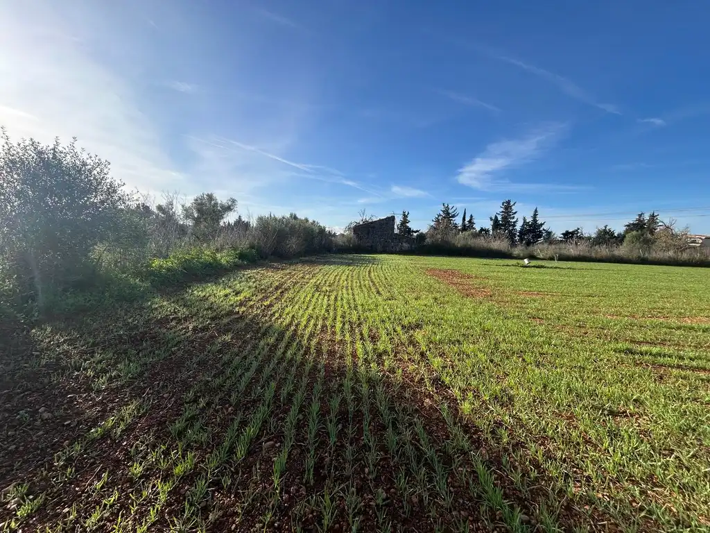 Land for sale in Muro