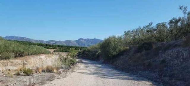 Terreno en Venta en Benicolet