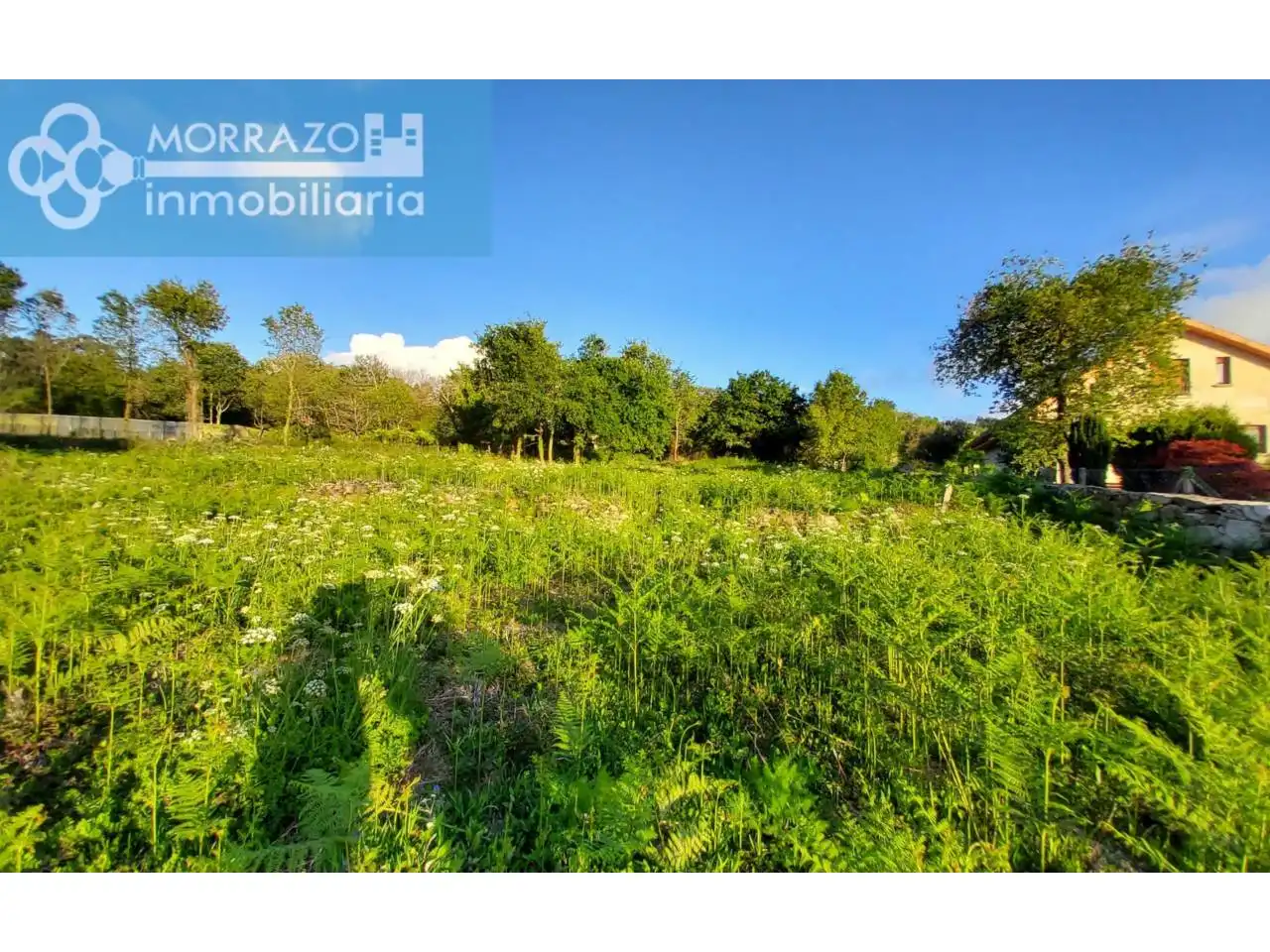 Terreno rustico in vendita a Marín, imagen 2