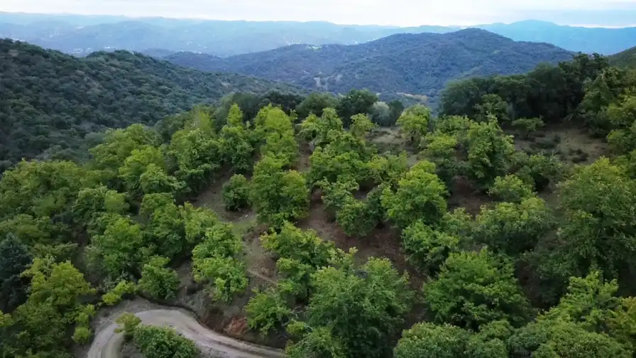 Houses for sale in Cortegana  with Private garden, Terrace and Storage room