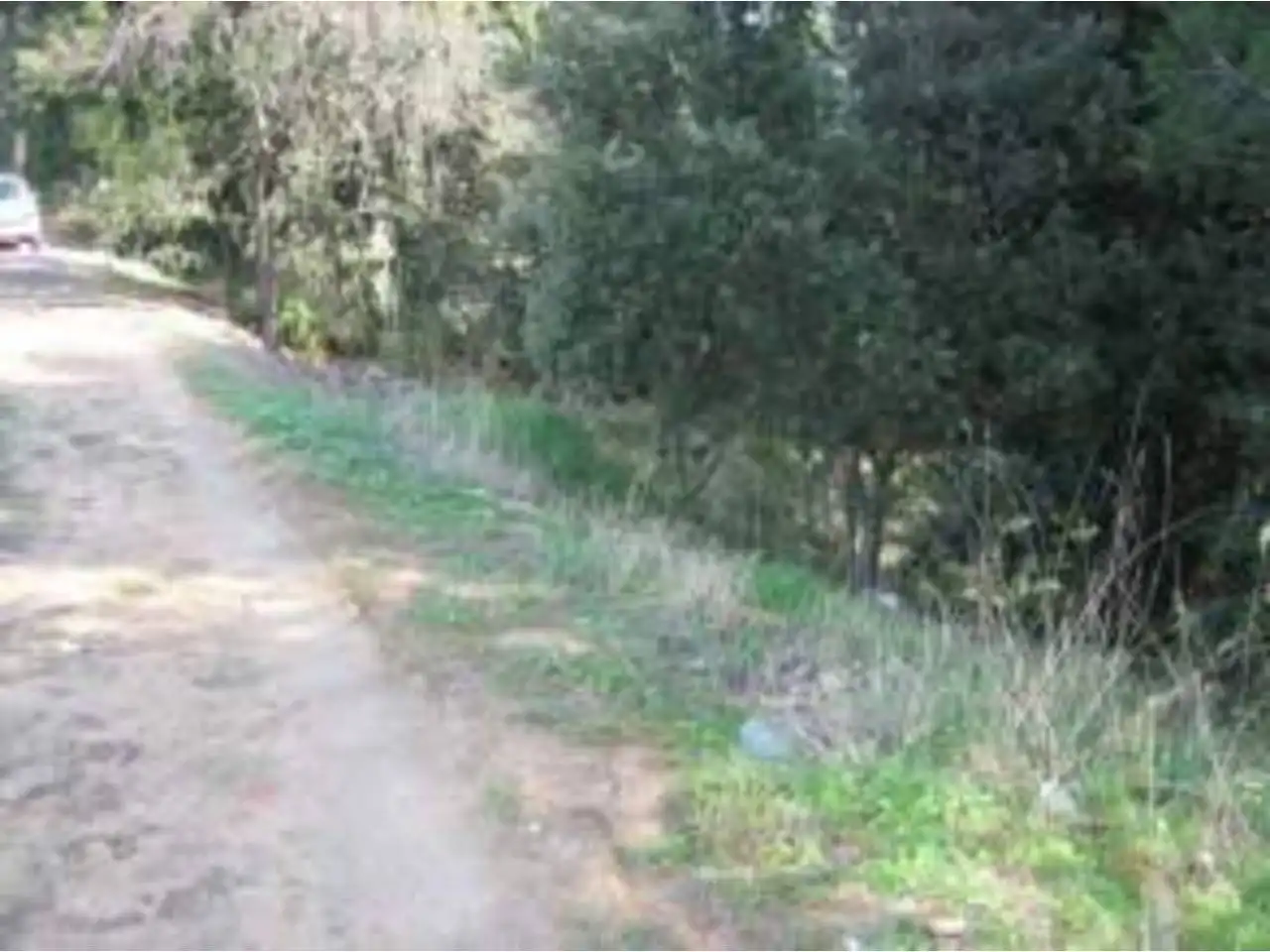 Rural land for sale in Avenida MONTBUI 50, imagen 12