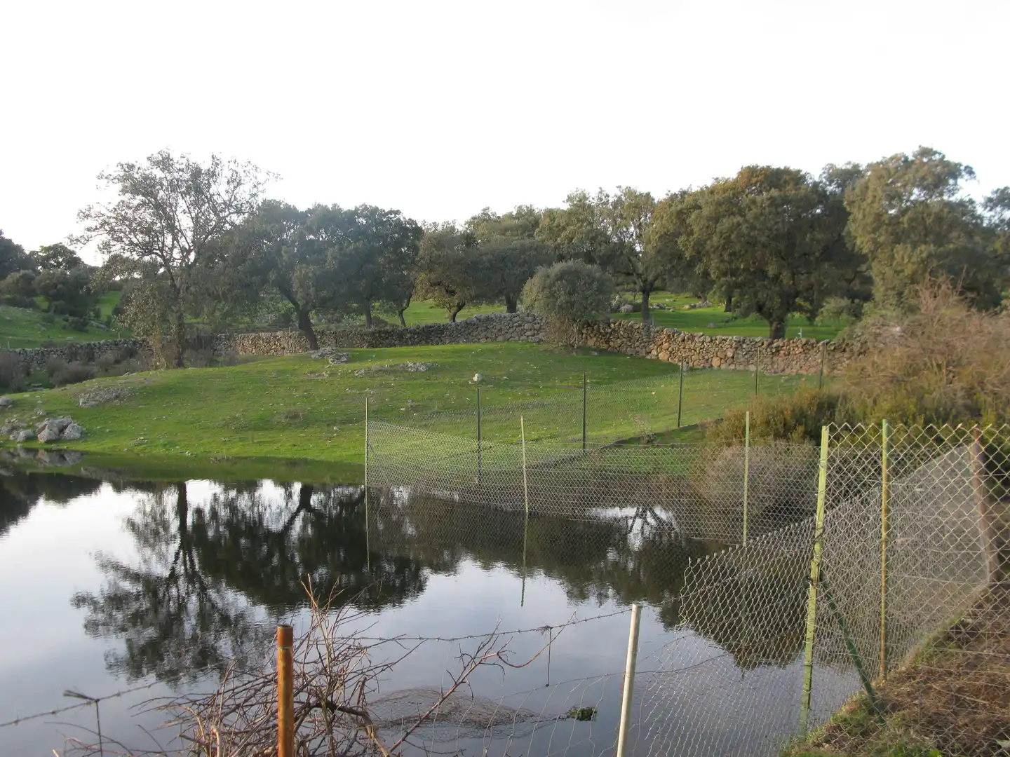Terreni e lotti in vendita a Jarandilla de la Vera, imagen 3