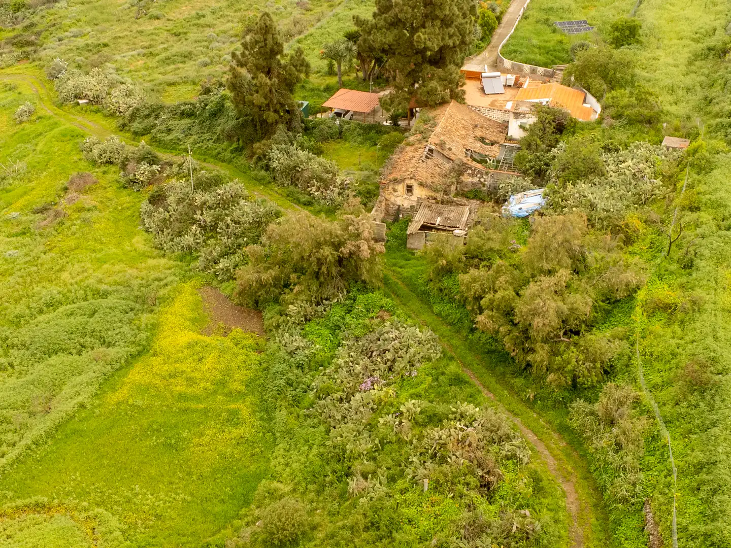 Country homes for sale in Santa Brígida  with Private garden and Terrace