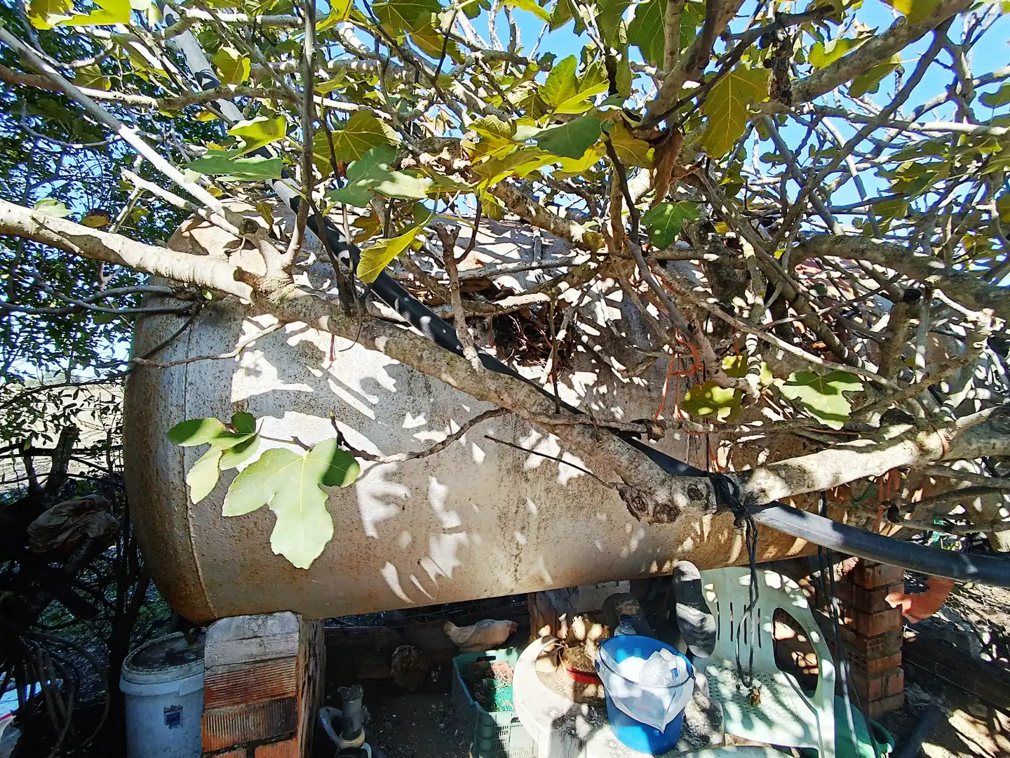 Terreni e lotti in vendita a El Juncal - Vallealto, imagen 4