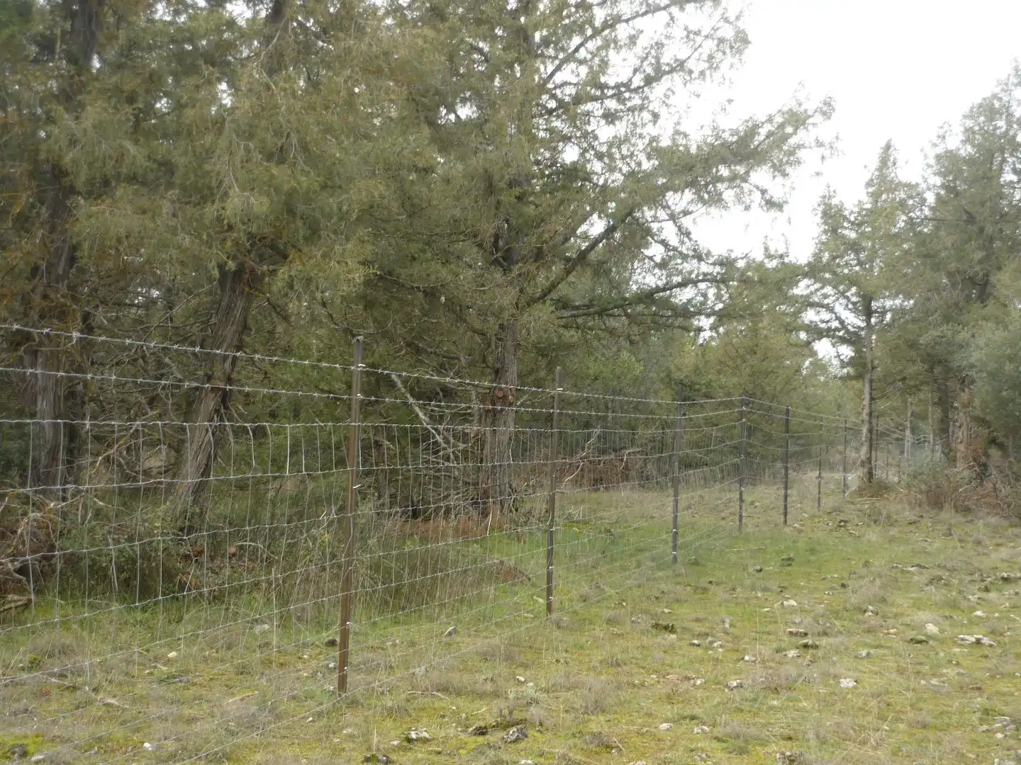 Terreno en venta en Pedraza