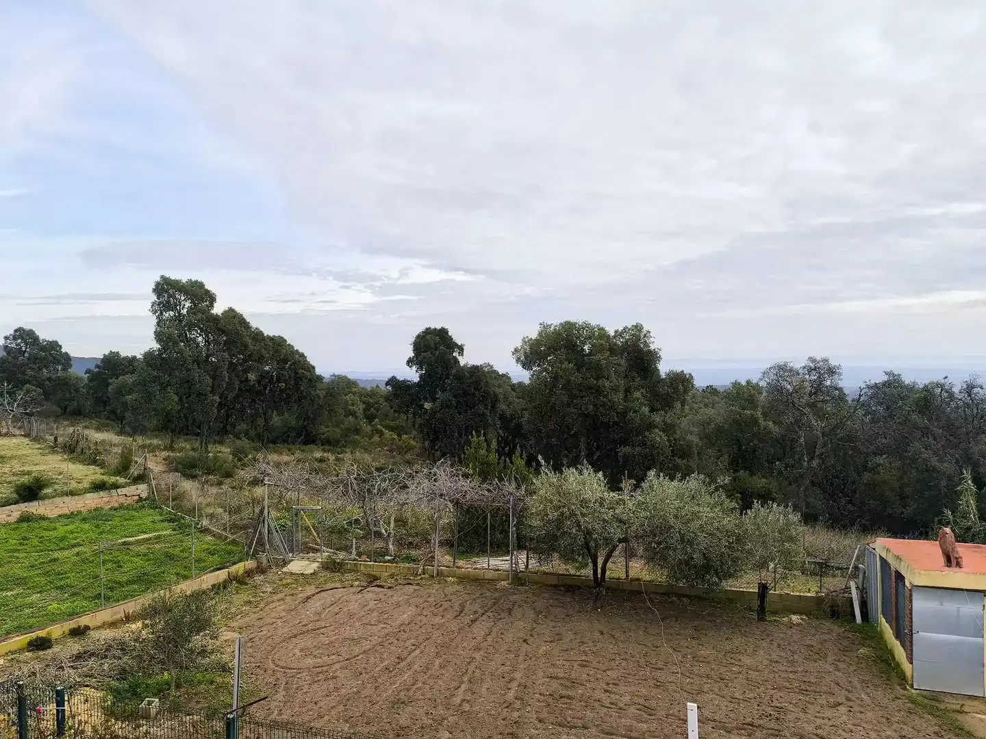 Casa o chalet en venta en Riudarenes con Terraza