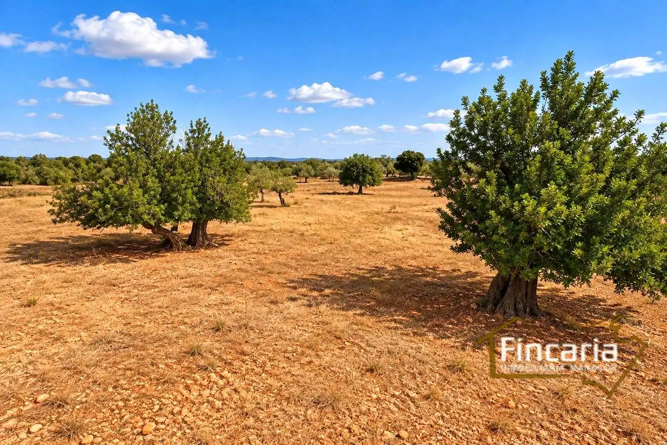 Country homes for sale in Marratxinet