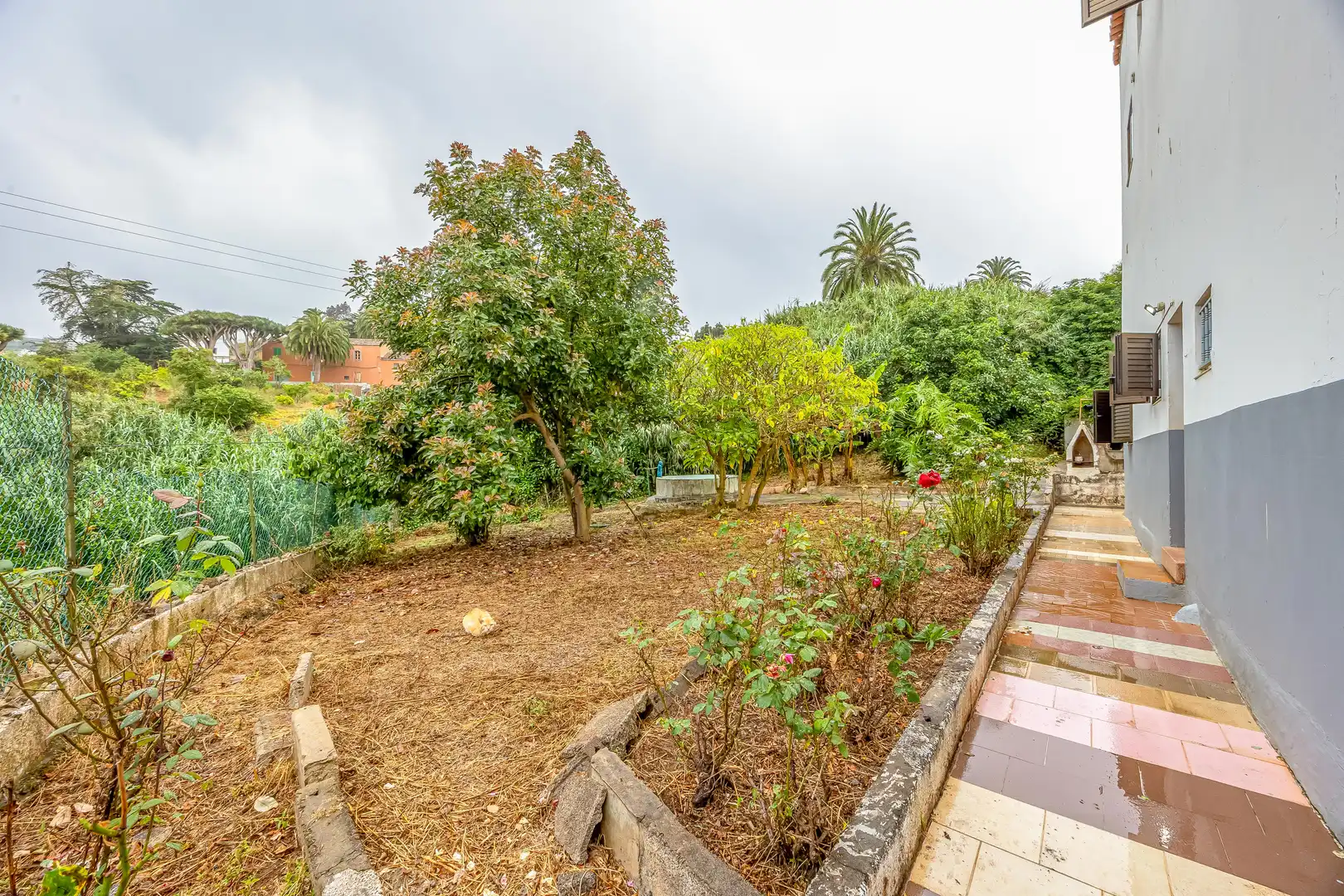 Casa o chalet en venta en Calle Sinesio Yánez Travieso, 41, El Palmar