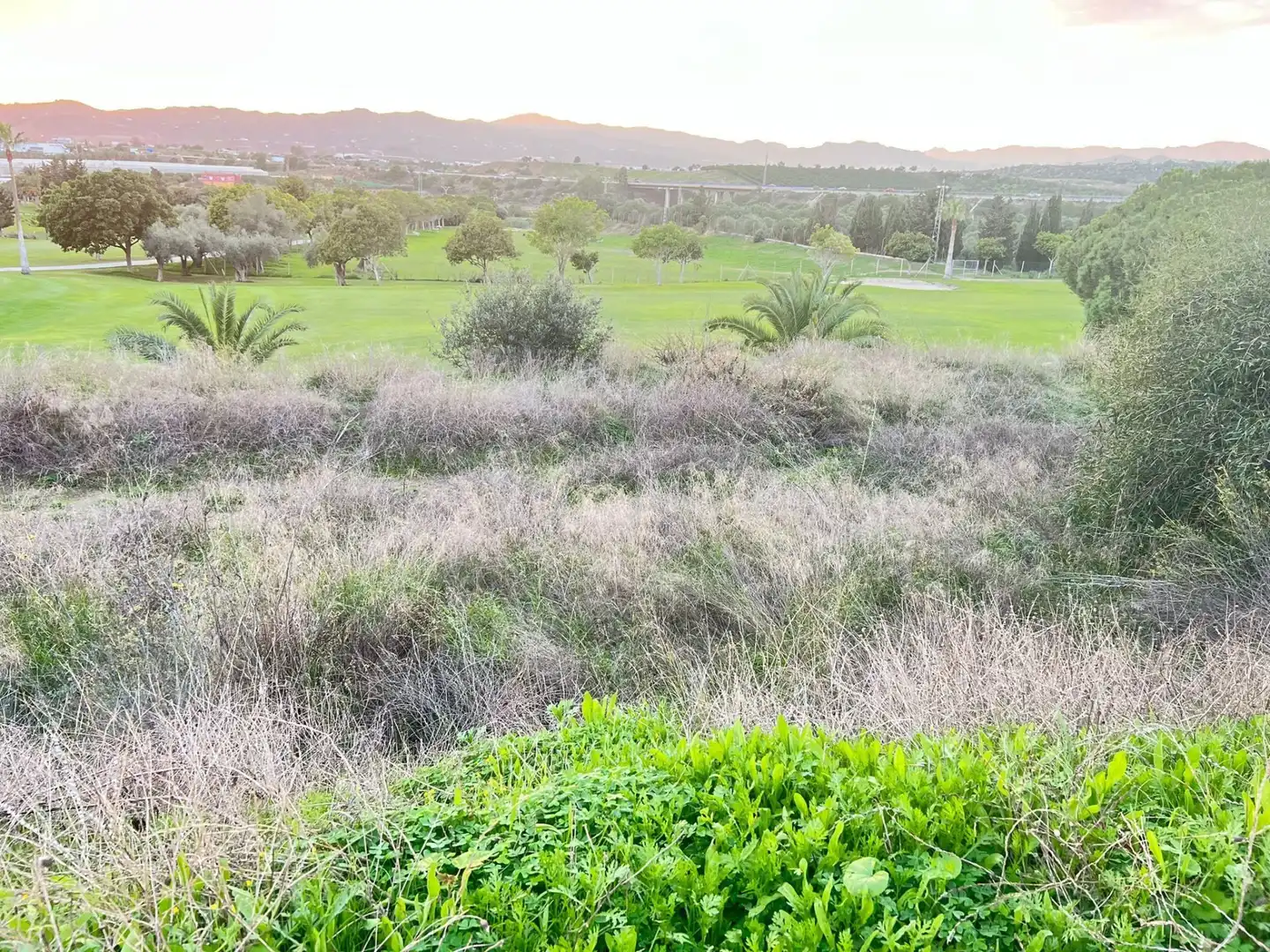 Residential zum Verkauf in Vélez-Málaga