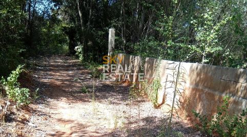 Foto 5 de Residencial en venda a Urbanització Bassetes Sector 7 Sup, Oliva Nova, Oliva