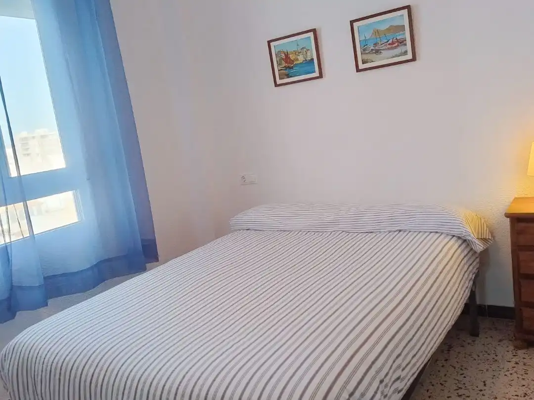 Apartament amb ascensor de lloguer a Avenida Alcalde Francisco Conejero Bas 1, imagen 19