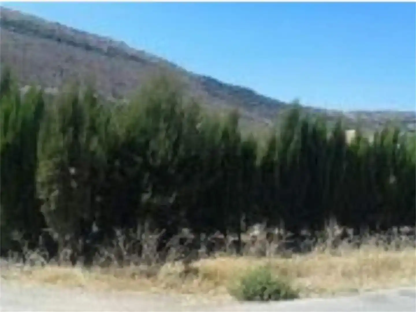 Land for sale in Alfarnate