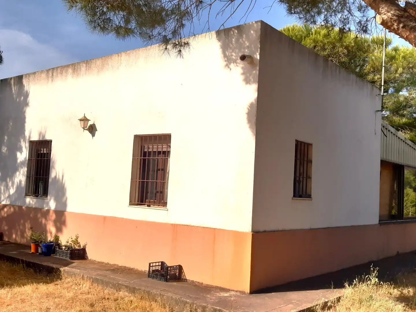Vista exterior de Casa o chalet en venta en Puerto Real