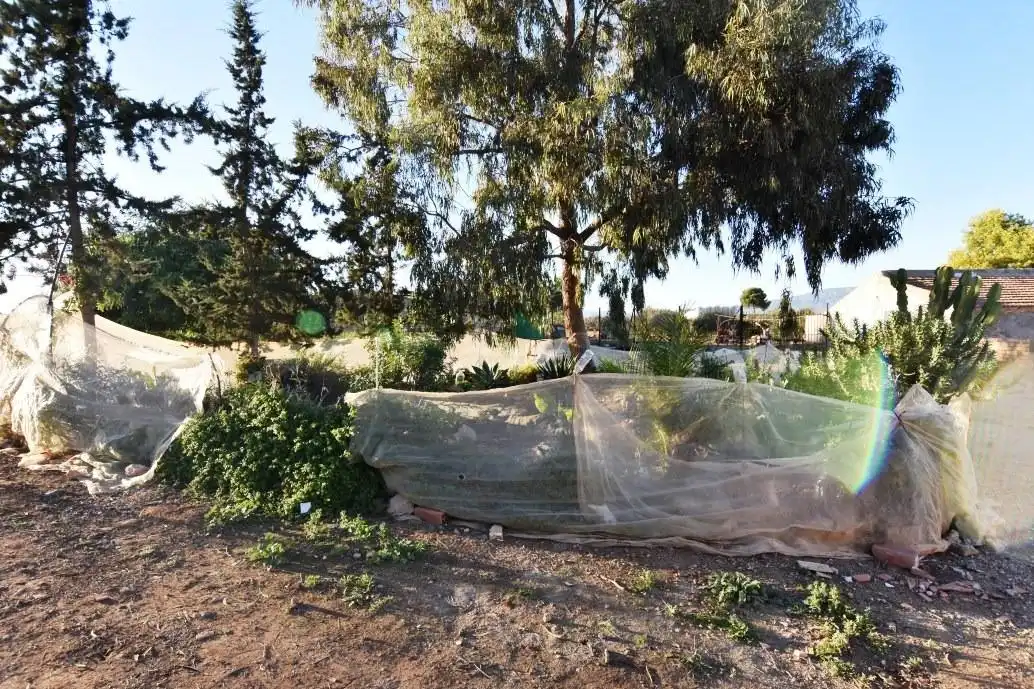 Jardín de Finca rústica en venta en Fuente Álamo de Murcia con Jardín privado, Terraza y Trastero