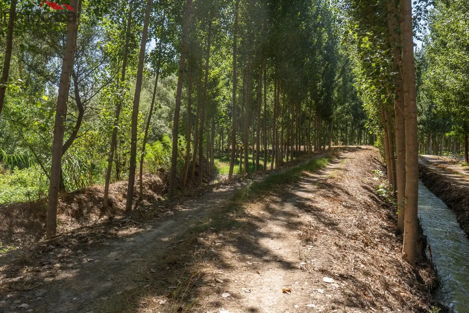 Houses for sale in Valderrubio