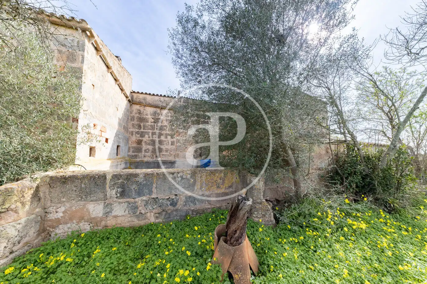 Vista exterior de Finca rústica en venta en Campos con Jardín privado y Trastero