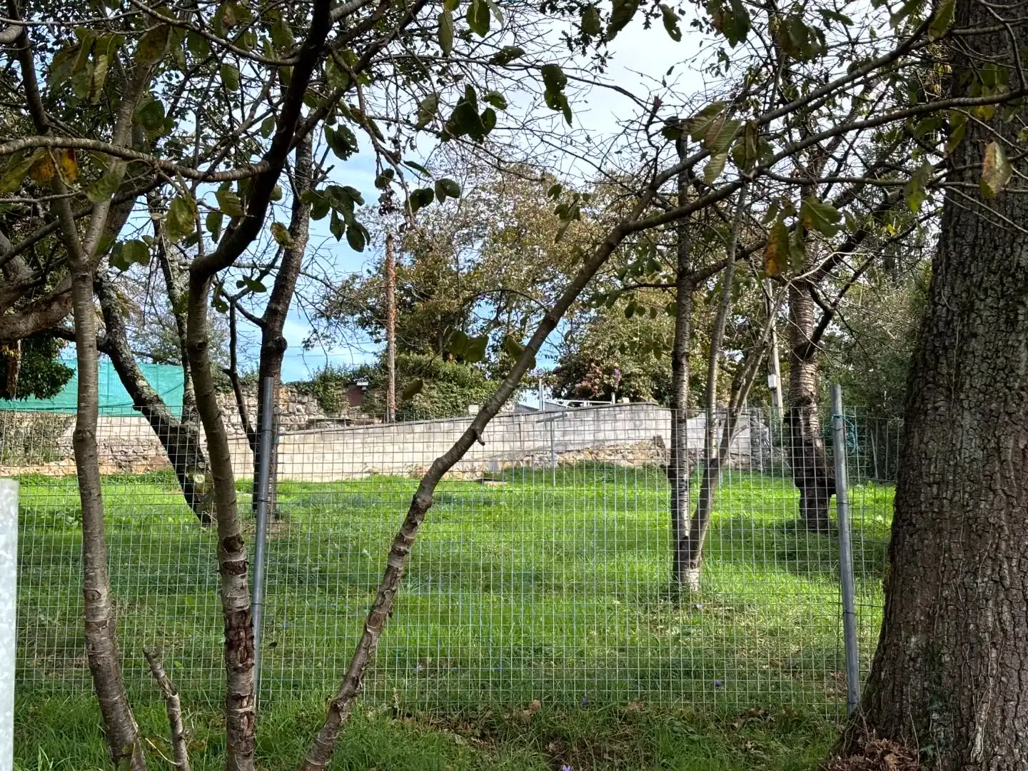 Villa con giardino in vendita a Caserio Santianes 8, imagen 33