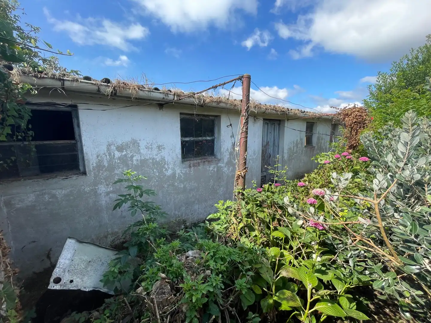 Vista exterior de Casa o xalet en venda en Ferrol amb Calefacció i Jardí privat