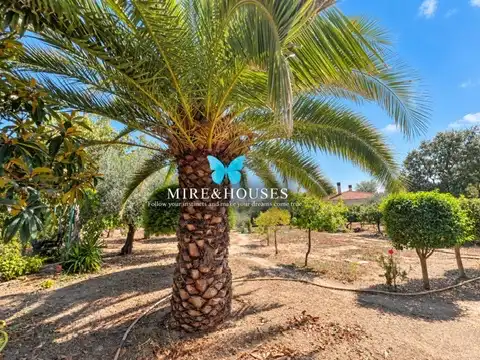Detached house with pool for sale in Calle Principal, imagen 5