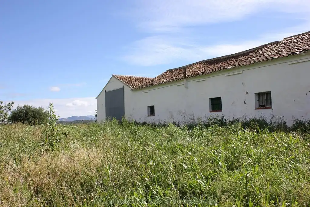 Casa rústica en venda a Algodonales, imagen 32